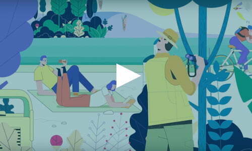 Wetlands & People: A Vital Connection