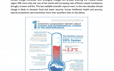 Barcelona COP 21 Policy Position Paper