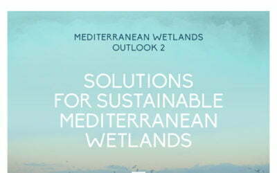 Mediterranean Wetlands Outlook 2