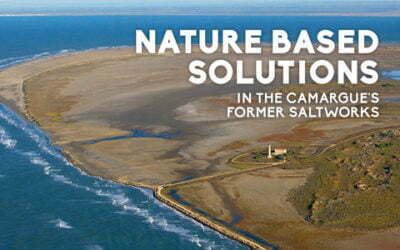 Nature-Based Solutions in the Camargue’s Former Saltworks