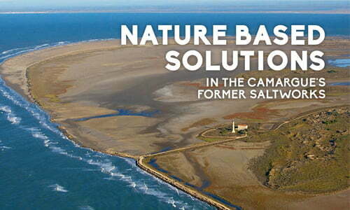 Nature-Based Solutions in the Camargue’s Former Saltworks