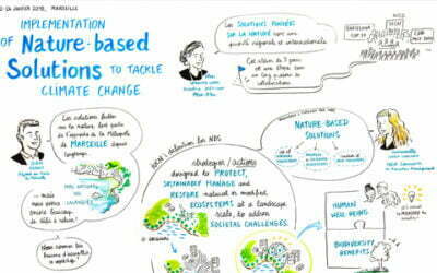 International Workshop on Implementing Nature Based Solutions to tackle climate change in the Mediterranean