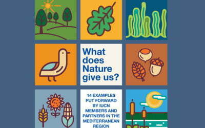 Nature-based Solutions in the Mediterranean: A report by IUCN