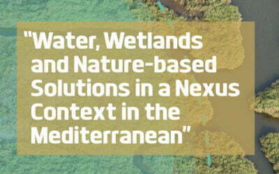 Water, Wetlands and Nature-Based-Solutions in a Nexus Context in the Mediterranean