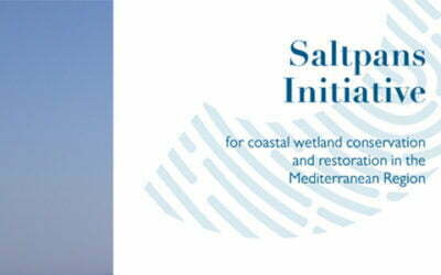 Saltpans Initiative for Coastal Wetland Conservation and Restoration in the Mediterranean Region