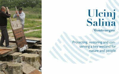 Ulcinj Salina (Montenegro): Protecting, Restoring and Conserving a Key Wetland for Nature and People