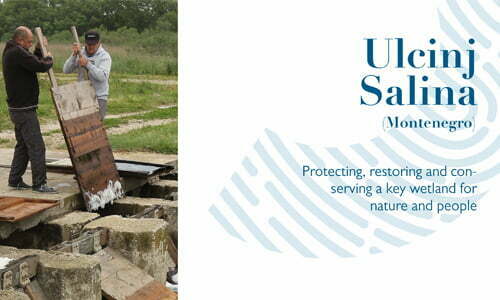 Ulcinj Salina (Montenegro): Protecting, Restoring and Conserving a Key Wetland for Nature and People