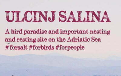 Ulcinj Salina  – a Bird Paradise and Important Nesting and Resting Site on the Adriatic Flyway