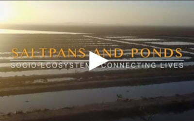 Saltpans and Ponds: Socio-Ecosystems Connecting Lives
