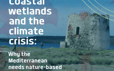 Coastal wetlands and the climate crisis: Why the Mediterranean needs nature-based solutions