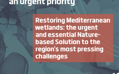 Mediterranean wetland restoration: an urgent priority