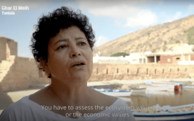 Ghar El Melh: building resilience in Tunisia’s most precious wetlands