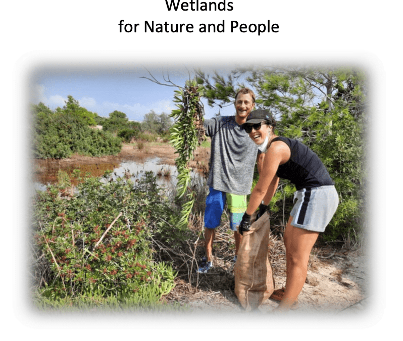 Assessment and identification of potential wetlands to be restored in Mediterranean countries